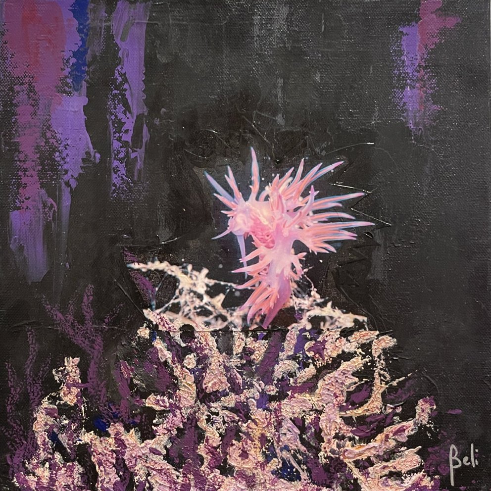 6-116 Flabeline 30x30cm © Belinda BUSSOTTI