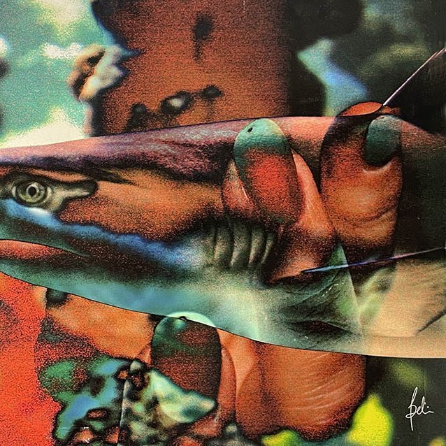 13-220 In our hands © Belinda BUSSOTTI