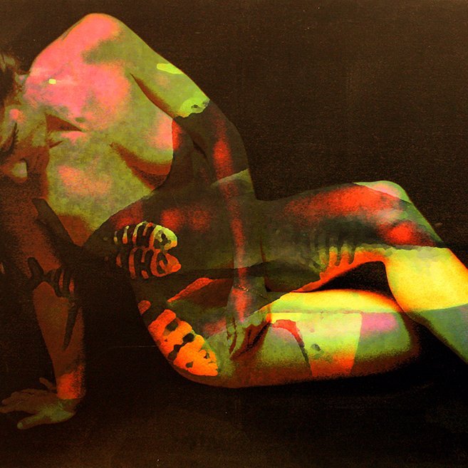 12-214 Shark harmony © Belinda BUSSOTTI