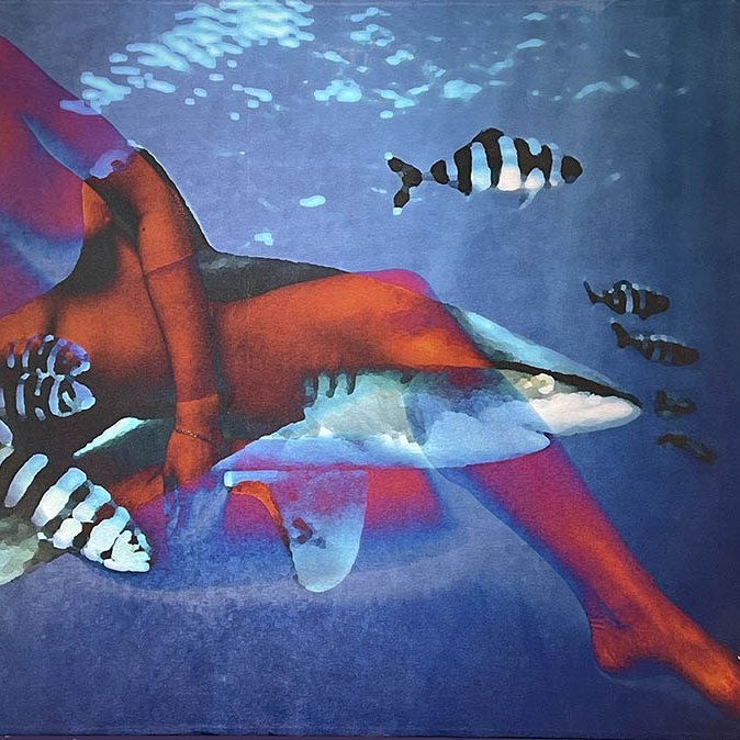 13-227 Poissons pilotes © Belinda BUSSOTTI