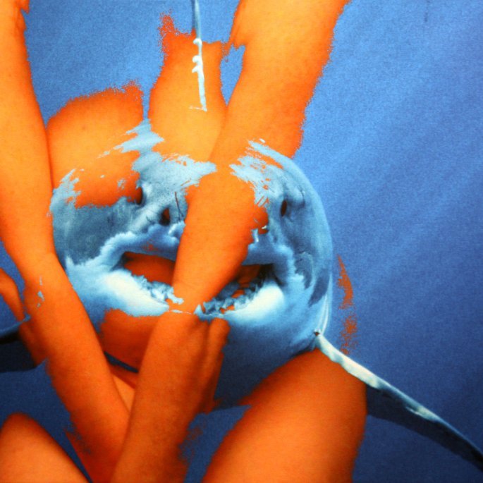 13-230P Grand blanc 66x100cm © Belinda BUSSOTTI