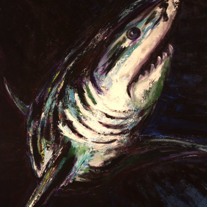 15-248 Great White © Belinda BUSSOTTI