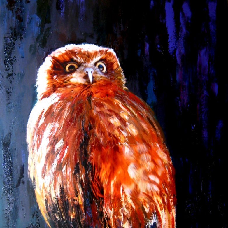 8-160 Il gufo 116x89cm) © Belinda BUSSOTTI